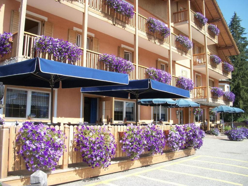 Hotel Vallechiara Moena Ngoại thất bức ảnh